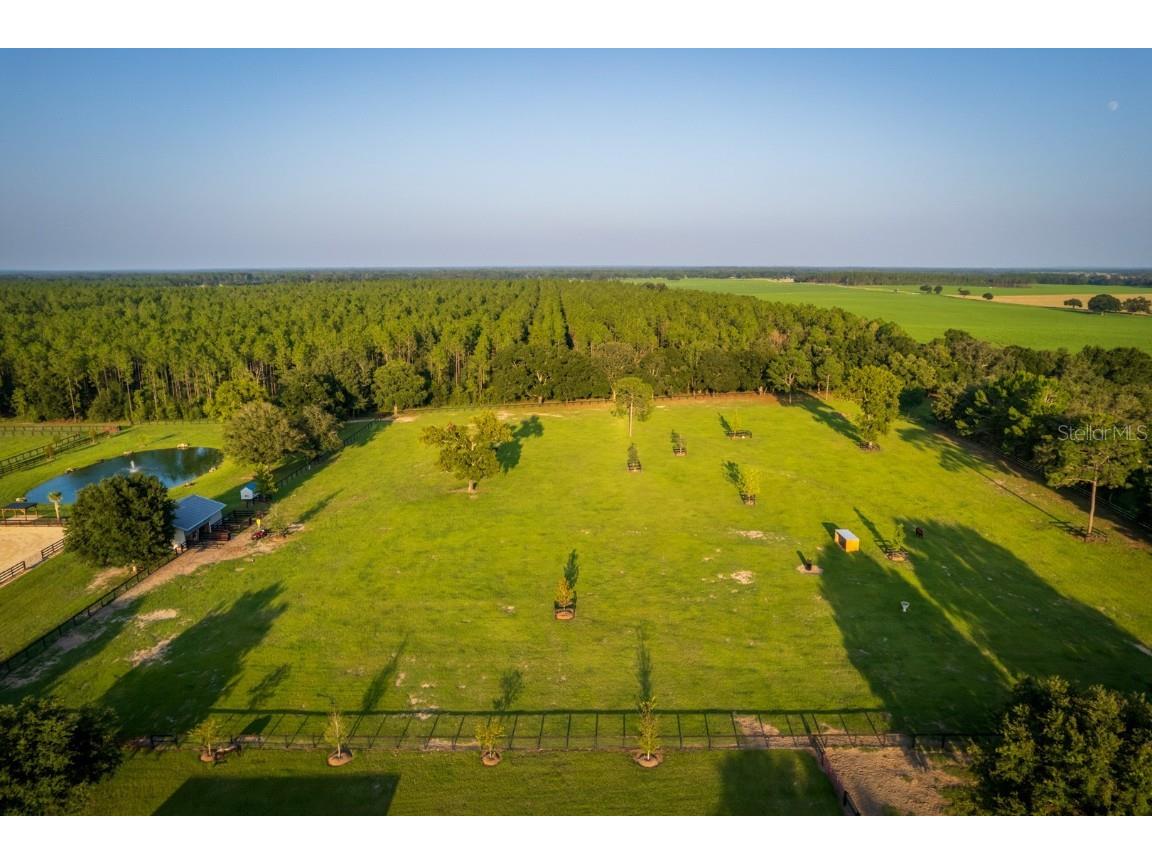 3650 SE 165th Avenue Morriston FL 32668 OM714240 image10