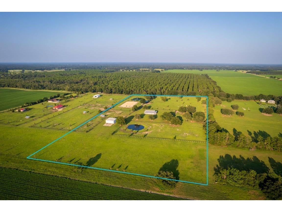 3650 SE 165th Avenue Morriston FL 32668 OM714240 image2