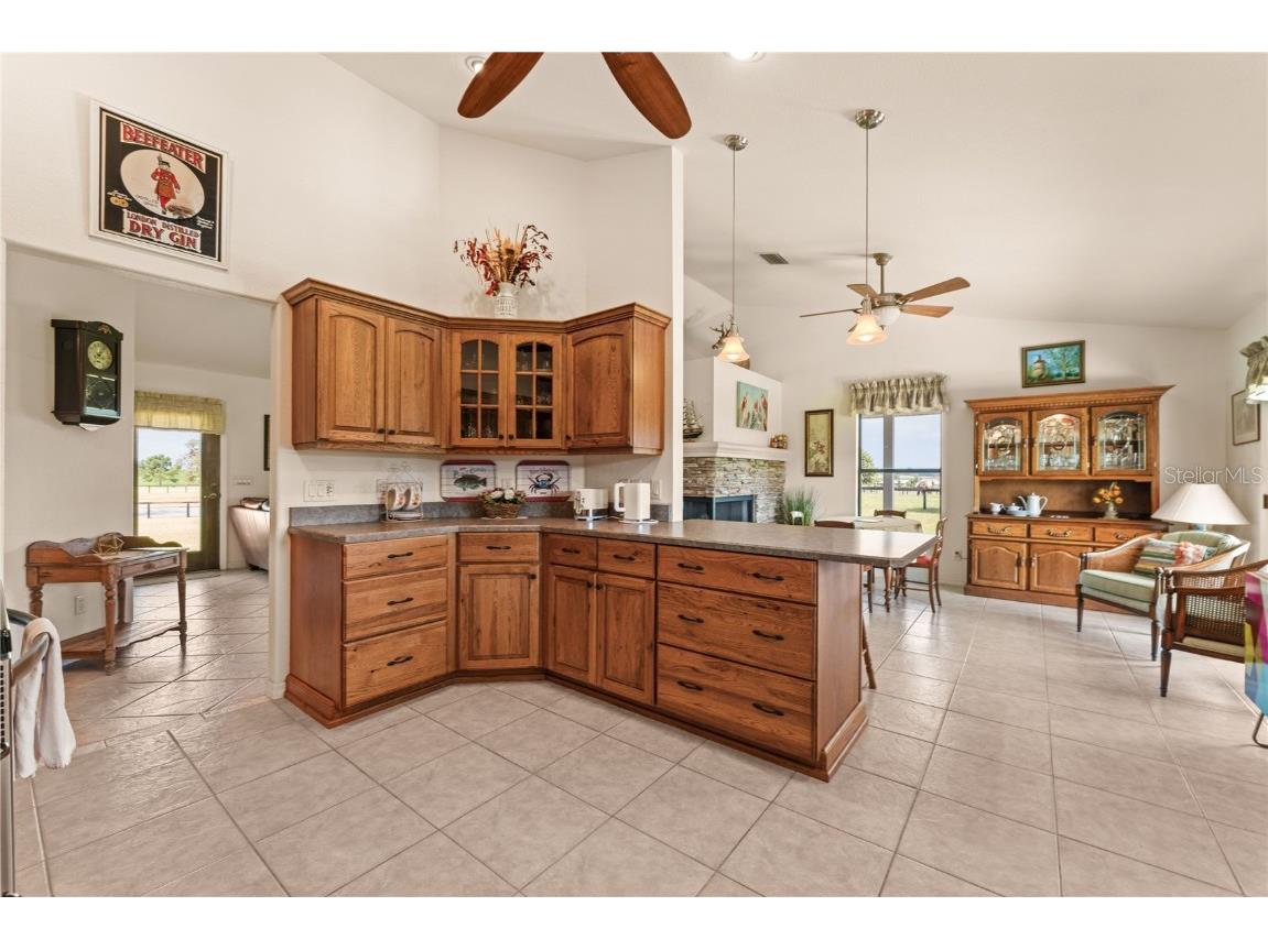 3650 SE 165th Avenue Morriston FL 32668 OM714240 image24