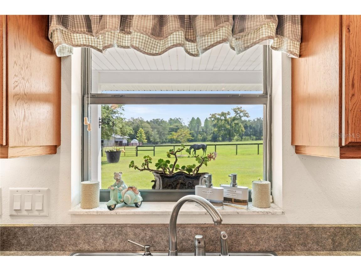 3650 SE 165th Avenue Morriston FL 32668 OM714240 image27