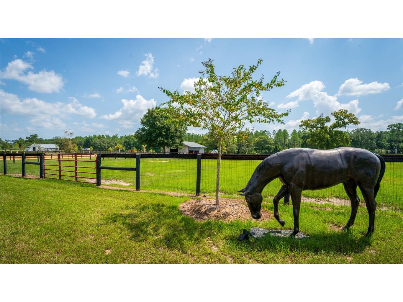 3650 SE 165th Avenue Morriston FL 32668 OM714240 image28