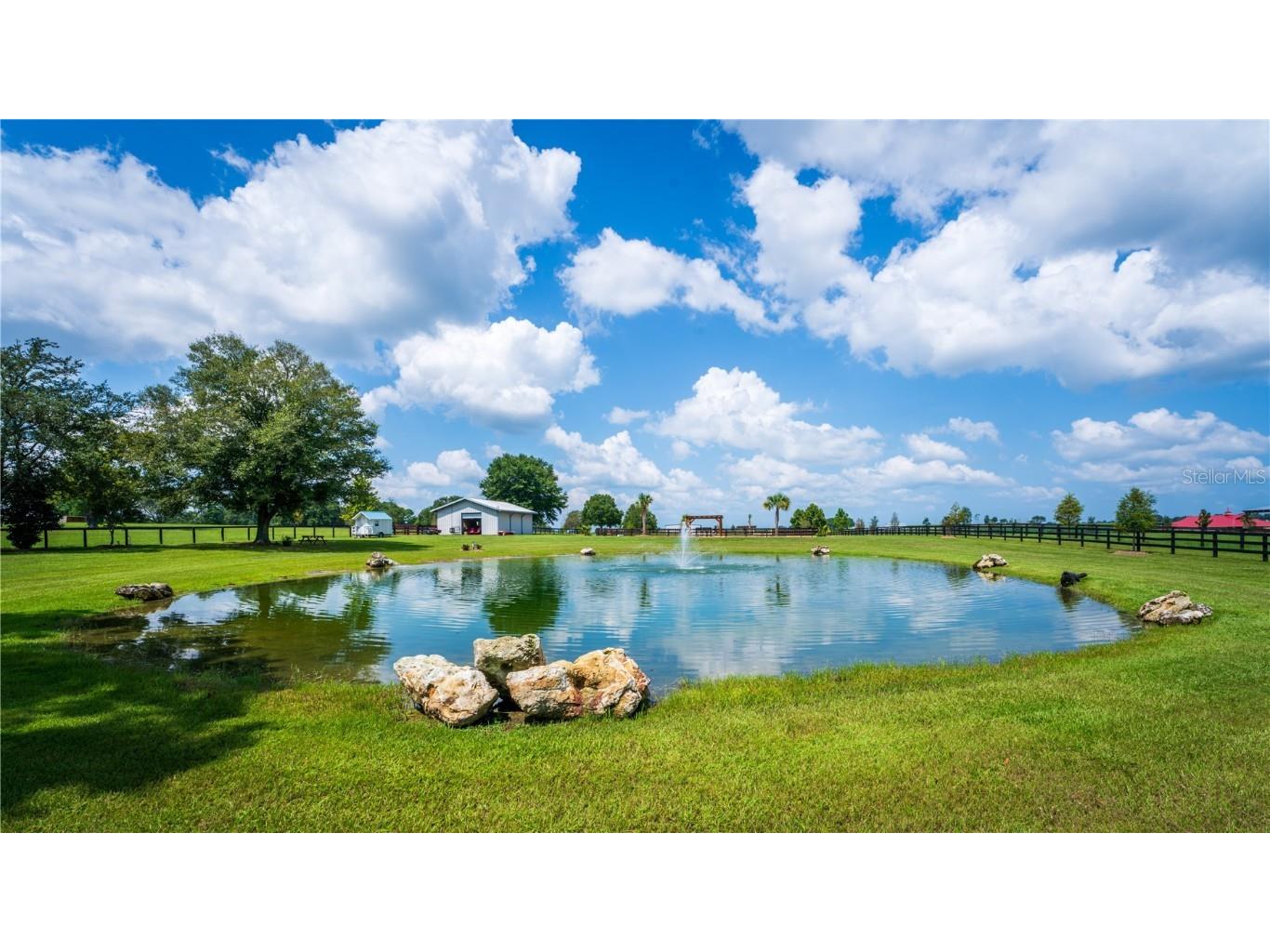 3650 SE 165th Avenue Morriston FL 32668 OM714240 image4