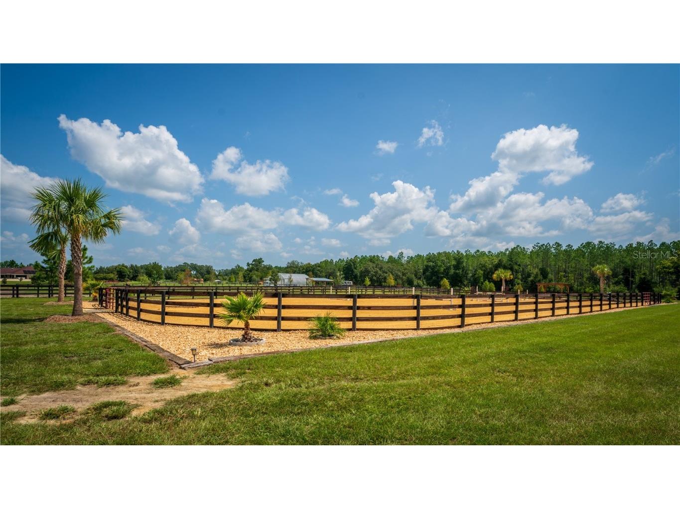 3650 SE 165th Avenue Morriston FL 32668 OM714240 image49