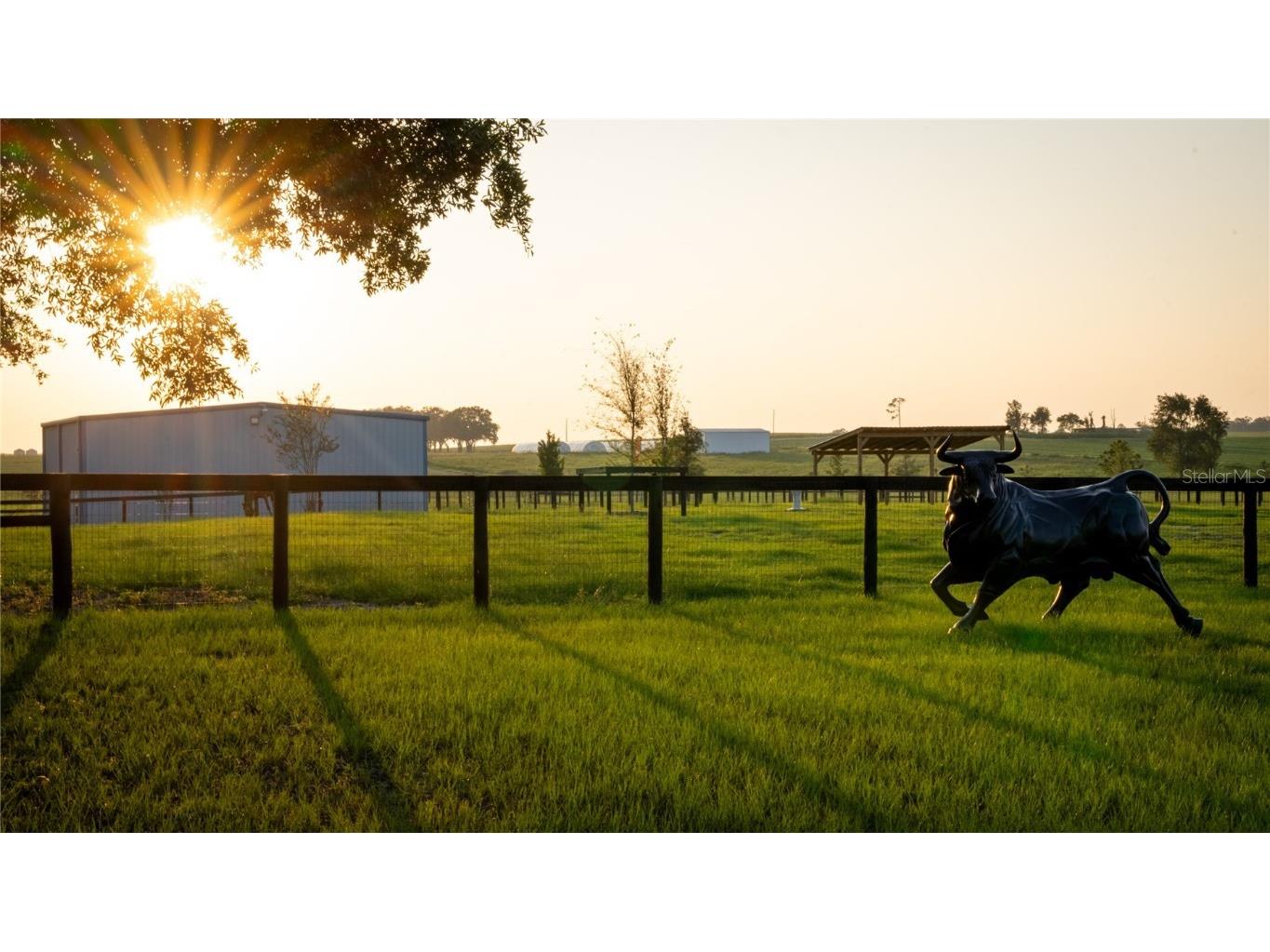 3650 SE 165th Avenue Morriston FL 32668 OM714240 image51