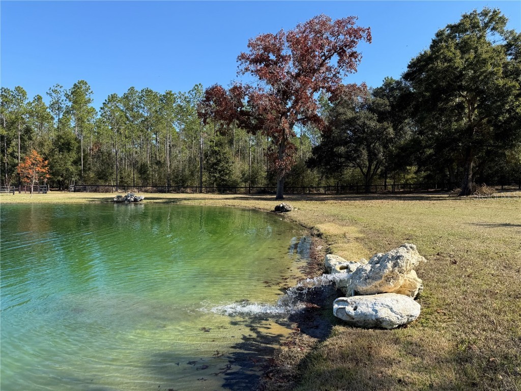 3650 SE 165th Avenue Morriston FL 32668 OM714240 image52