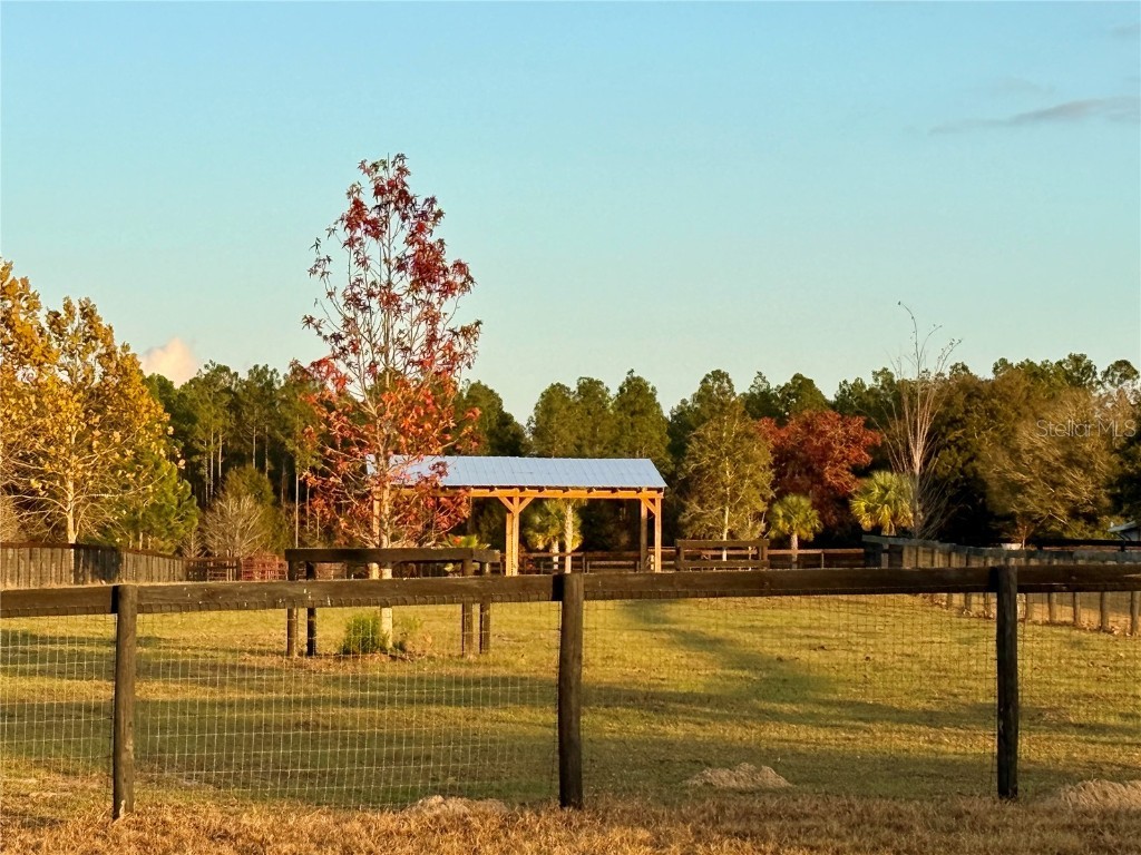 3650 SE 165th Avenue Morriston FL 32668 OM714240 image57