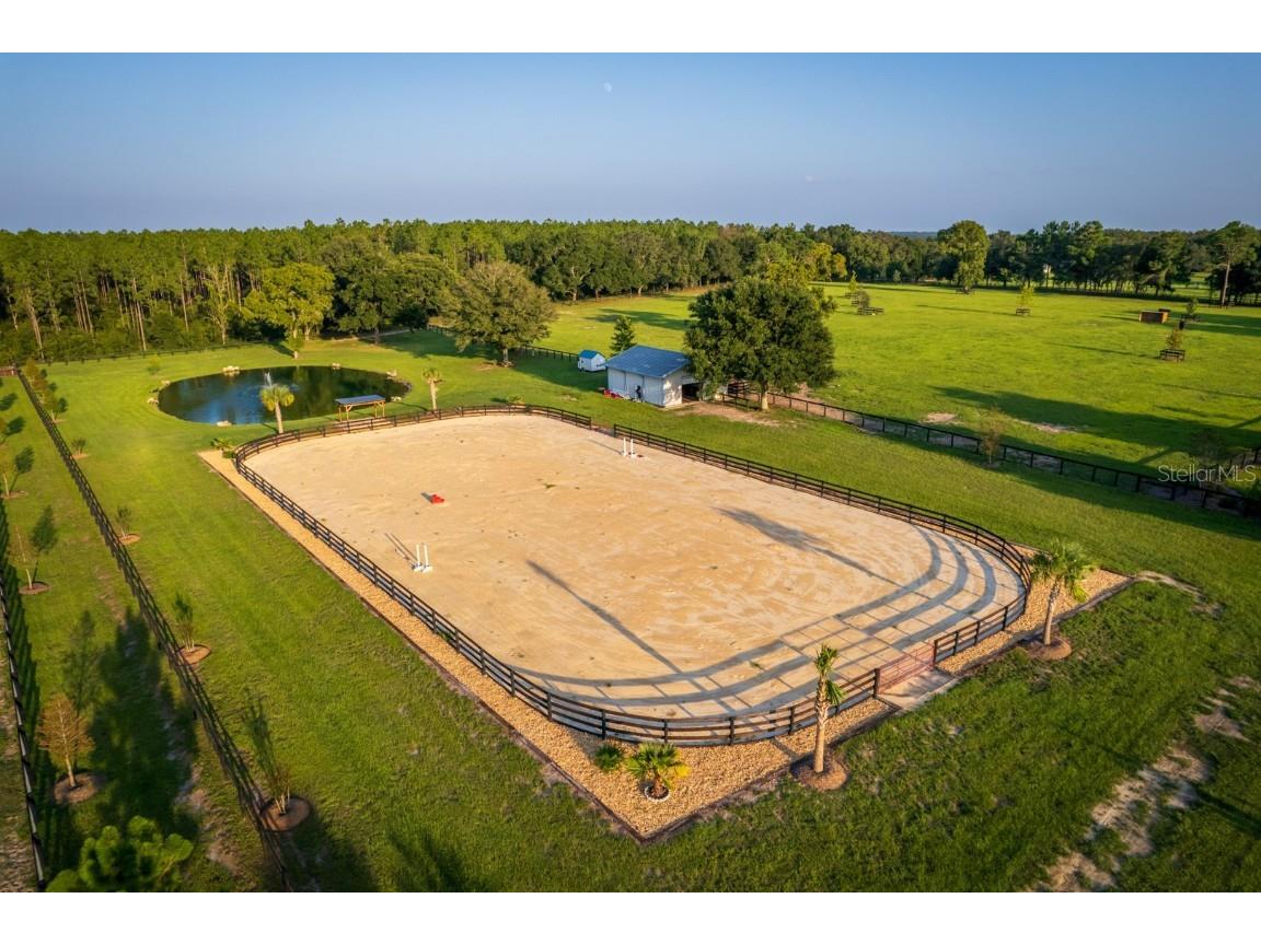 3650 SE 165th Avenue Morriston FL 32668 OM714240 image6