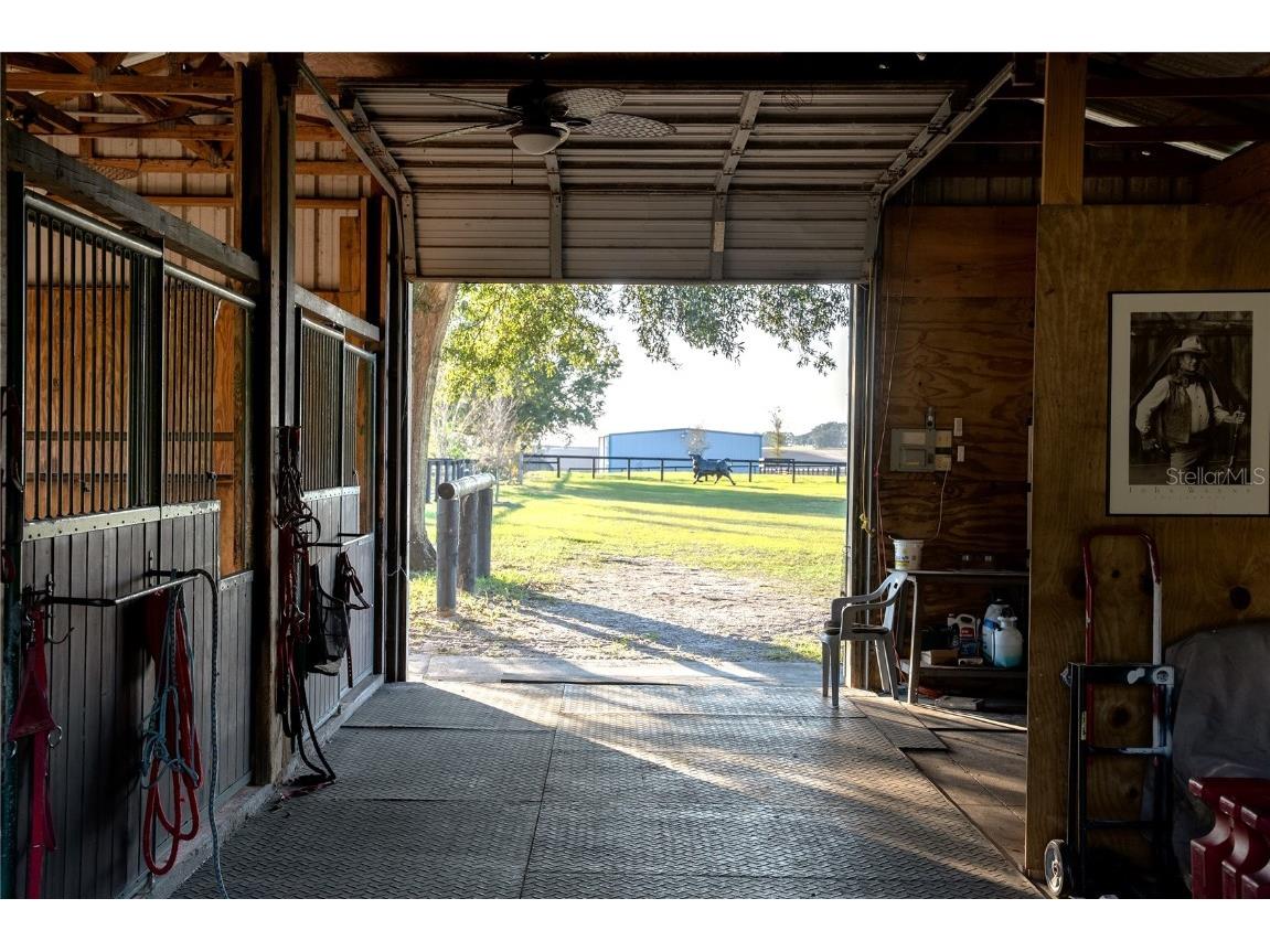 3650 SE 165th Avenue Morriston FL 32668 OM714240 image8