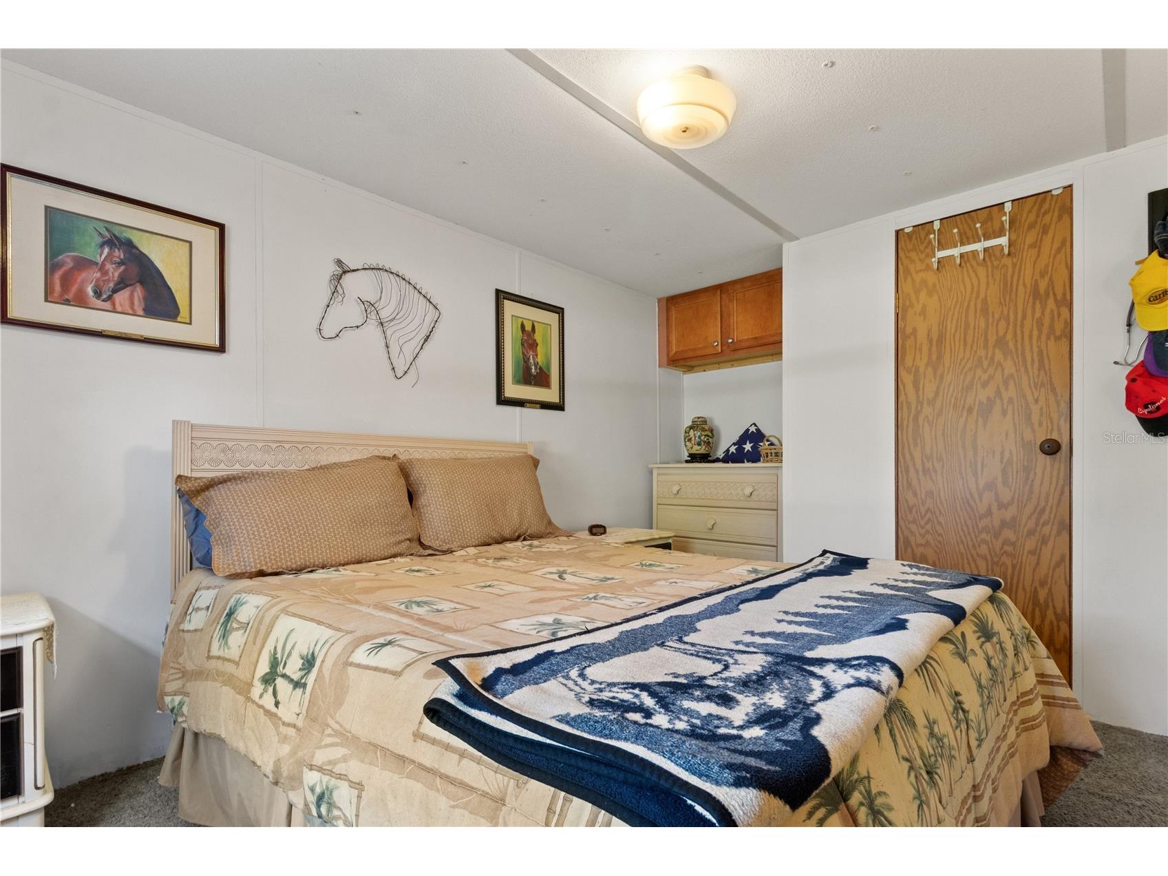 3650 SE 176th Place Inglis FL 34449 OM716508 image25