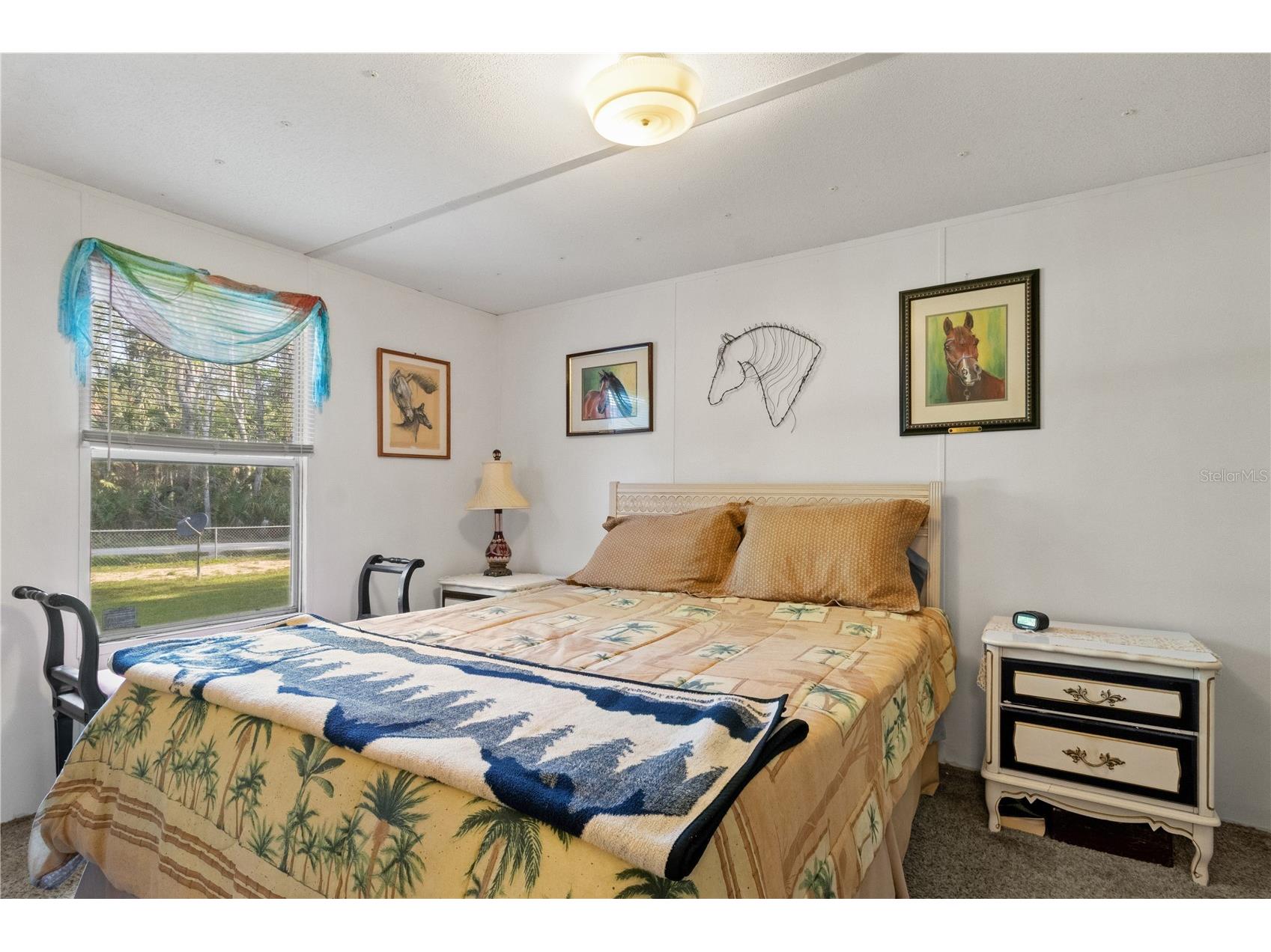 3650 SE 176th Place Inglis FL 34449 OM716508 image26