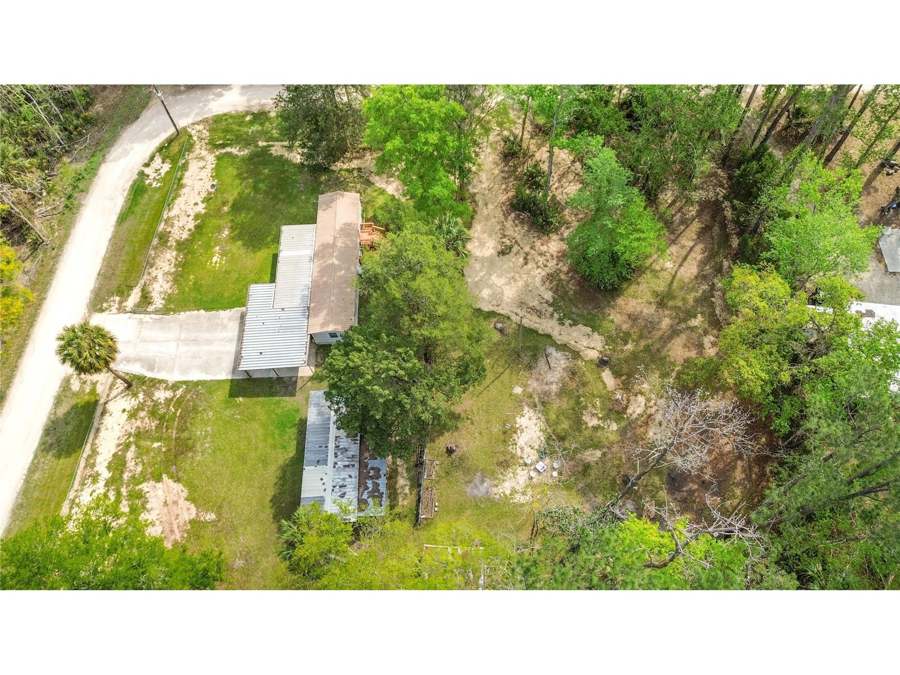 3650 SE 176th Place Inglis FL 34449 OM716508 image5