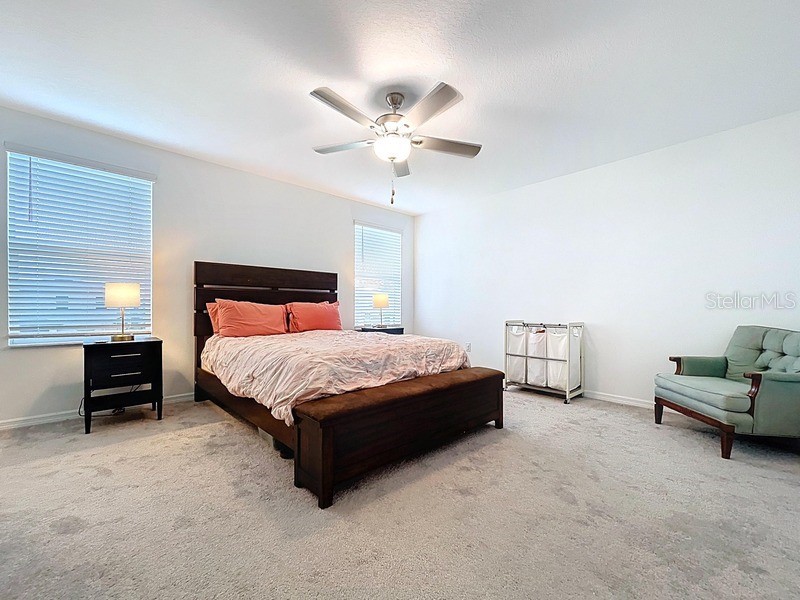 36503 Smithfield Lane Zephyrhills FL 33541 O6341446 image13