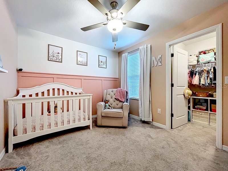 36503 Smithfield Lane Zephyrhills FL 33541 O6341446 image16