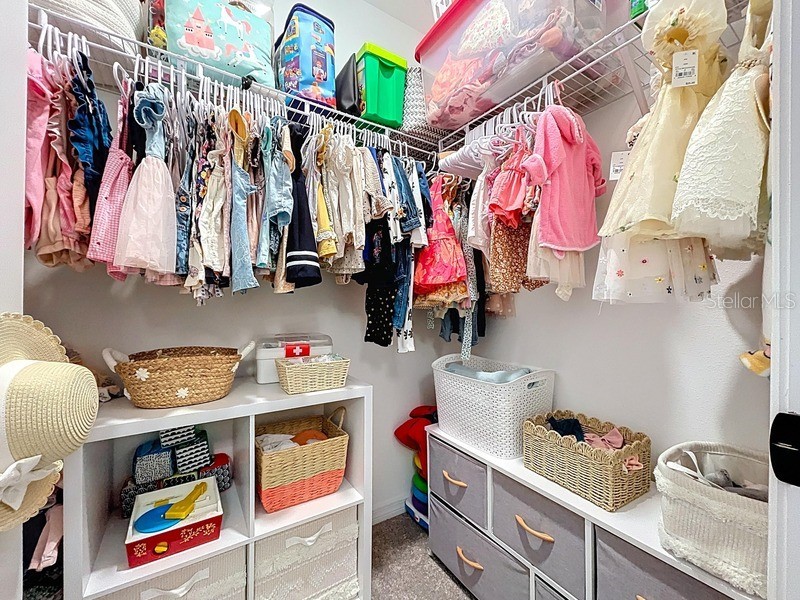 36503 Smithfield Lane Zephyrhills FL 33541 O6341446 image17