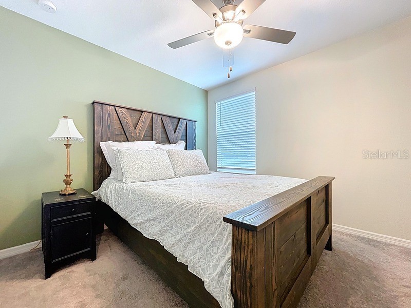 36503 Smithfield Lane Zephyrhills FL 33541 O6341446 image18