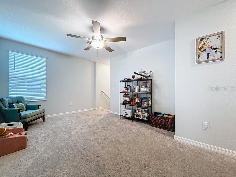 36503 Smithfield Lane Zephyrhills FL 33541 O6341446 image21