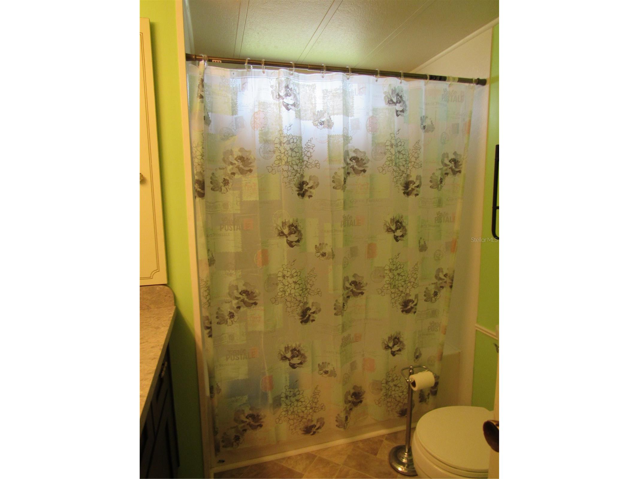 36506 Kay Avenue Zephyrhills FL 33542 TB8492030 image15