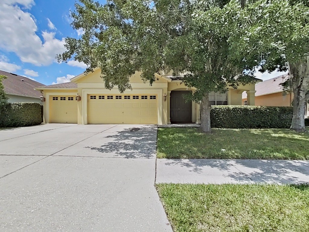 3651 Duke Firth Street Land O Lakes FL 34638 U8200029 image1
