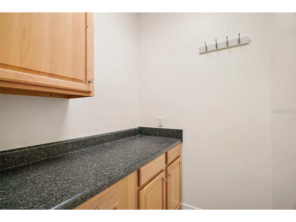 3651 Lake Center Drive Mount Dora FL 32757 G5097805 image15