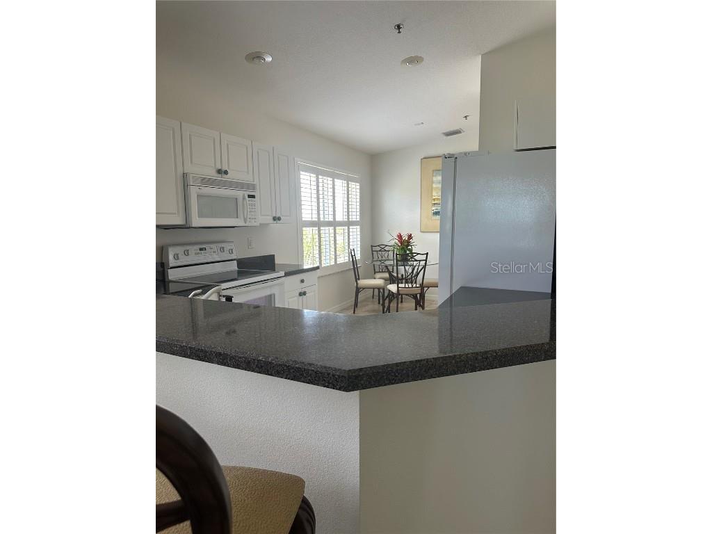 3651 S Central Avenue #305 Flagler Beach FL 32136 O6319773 image8