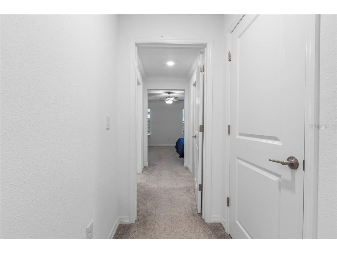 36515 Camp Fire Terrace Zephyrhills FL 33541 TB8412398 image20