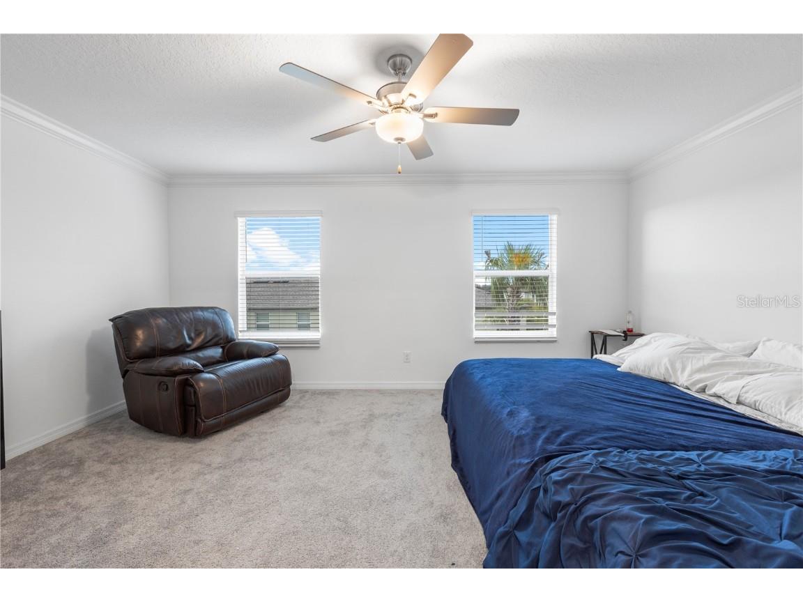 36515 Camp Fire Terrace Zephyrhills FL 33541 TB8412398 image21