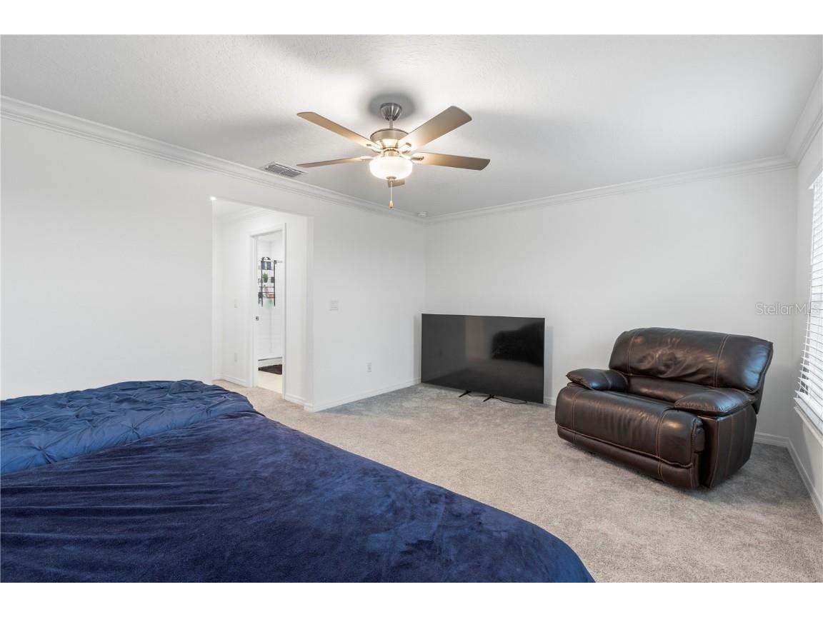 36515 Camp Fire Terrace Zephyrhills FL 33541 TB8412398 image22