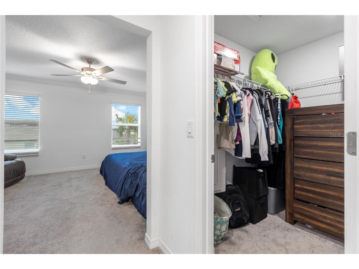 36515 Camp Fire Terrace Zephyrhills FL 33541 TB8412398 image24