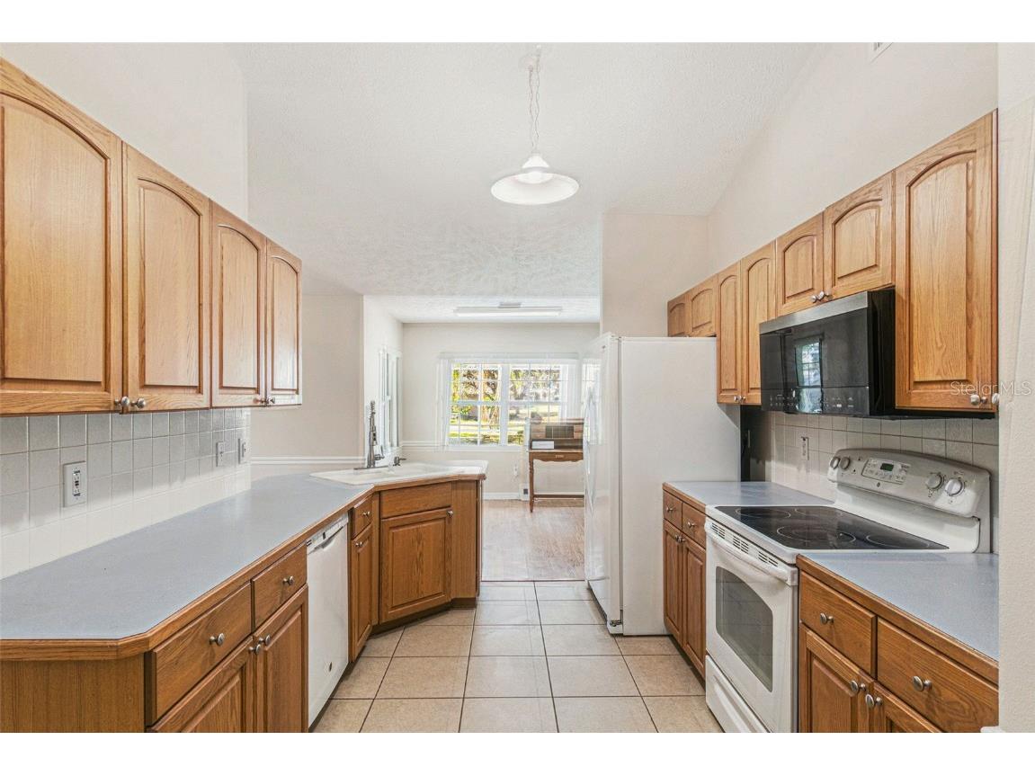 36517 Francis Drive Grand Island FL 32735 O6359818 image12