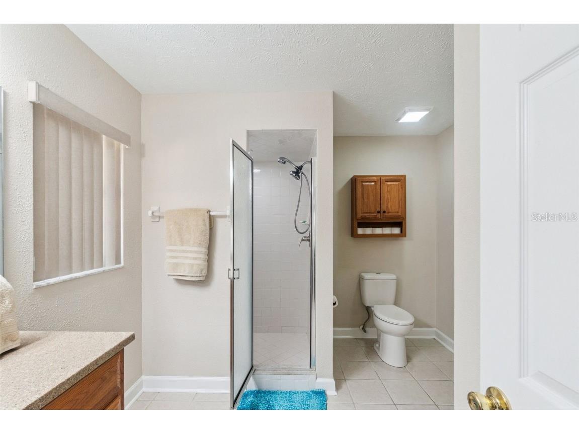 36517 Francis Drive Grand Island FL 32735 O6359818 image14