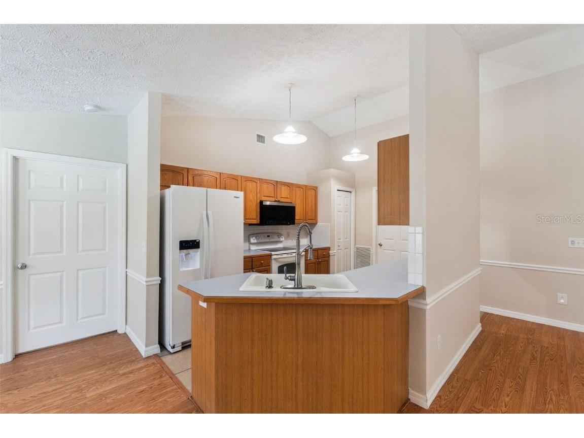 36517 Francis Drive Grand Island FL 32735 O6359818 image9