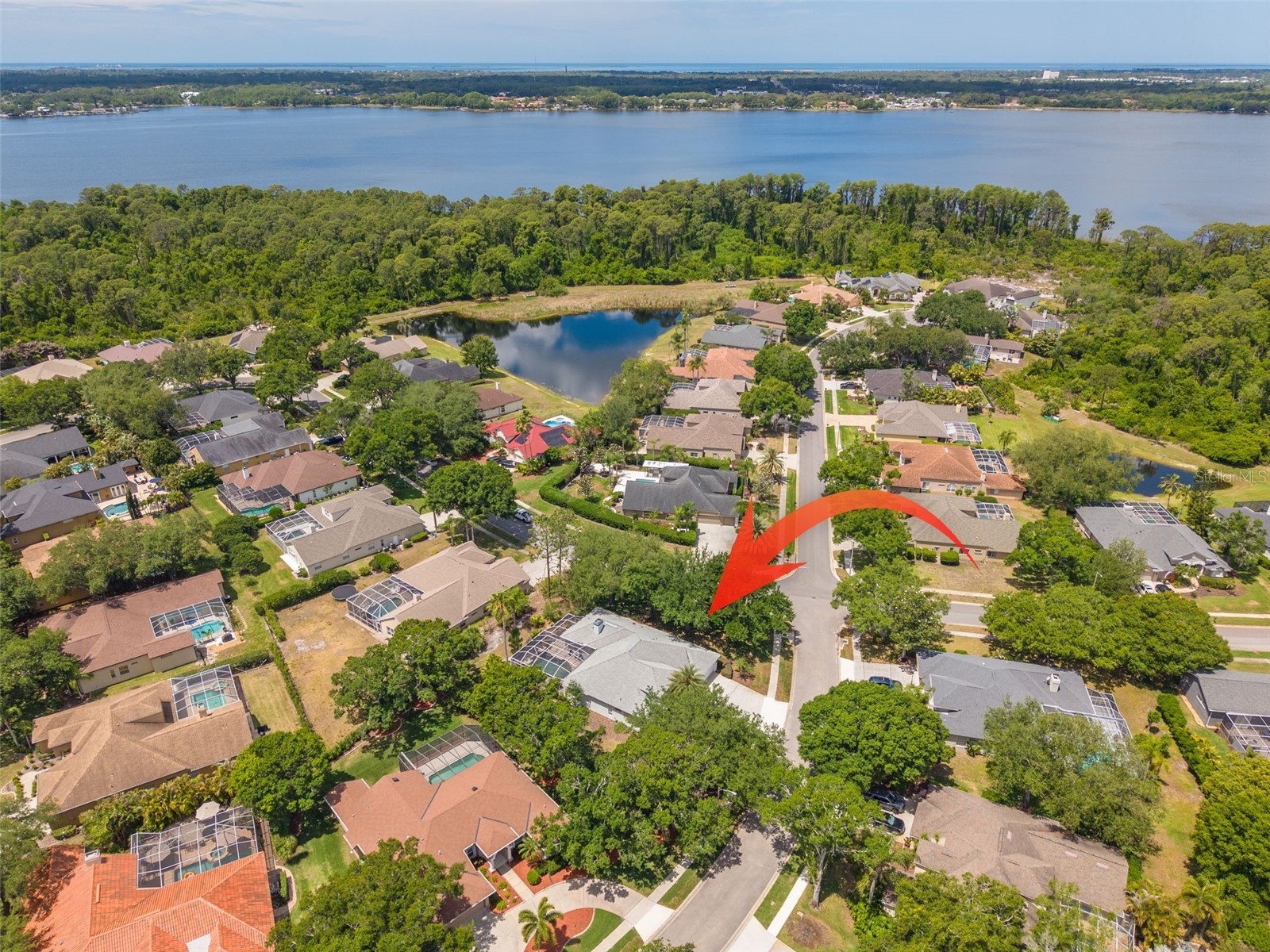 3652 Justin Drive Palm Harbor FL 34685 TB8498886 image2
