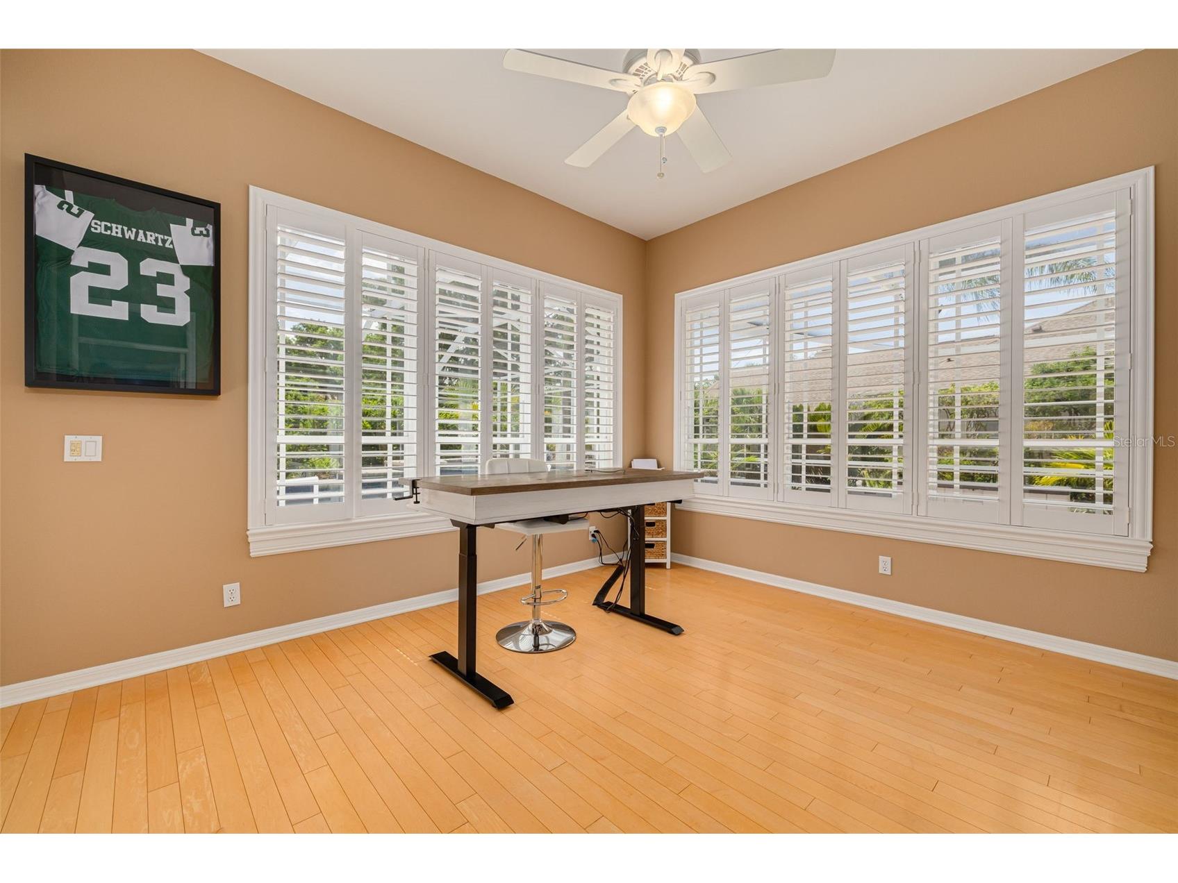 3652 Justin Drive Palm Harbor FL 34685 TB8498886 image26