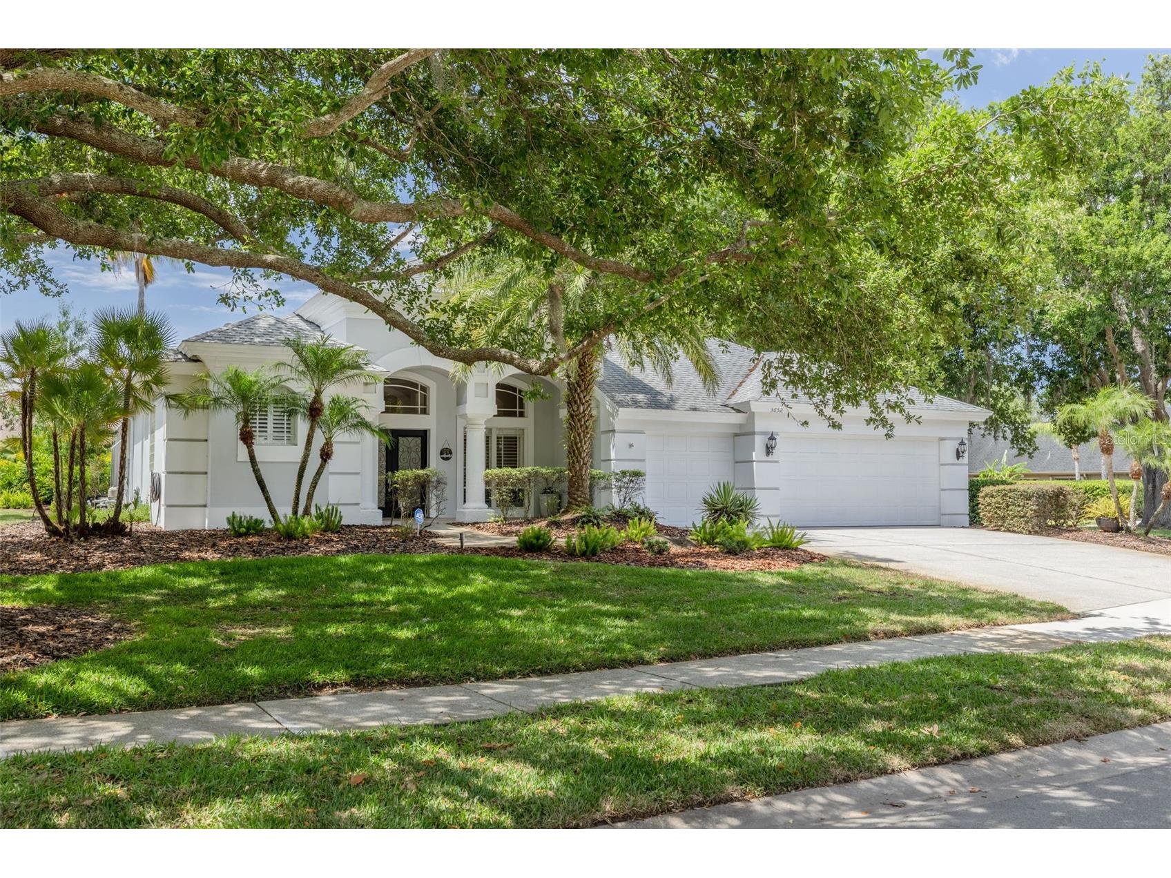 3652 Justin Drive Palm Harbor FL 34685 TB8498886 image3