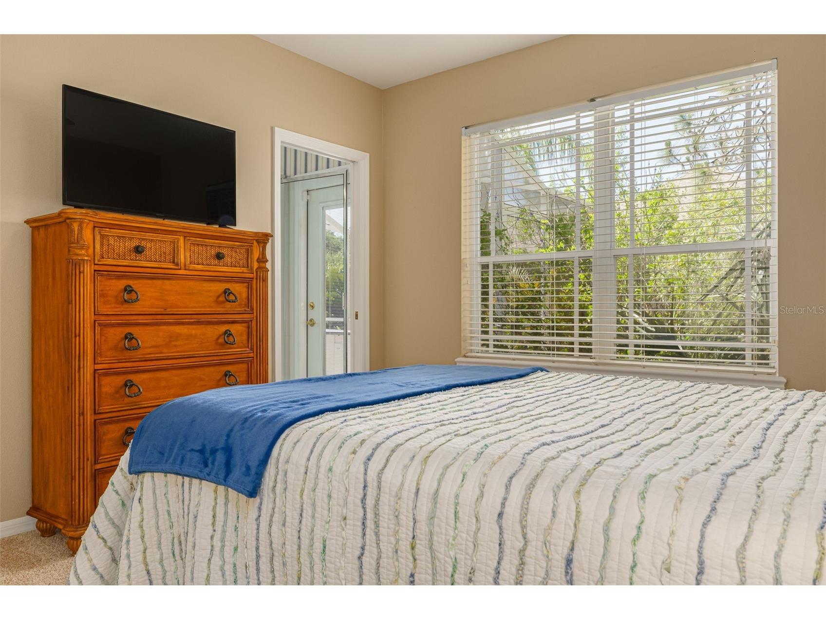 3652 Justin Drive Palm Harbor FL 34685 TB8498886 image35
