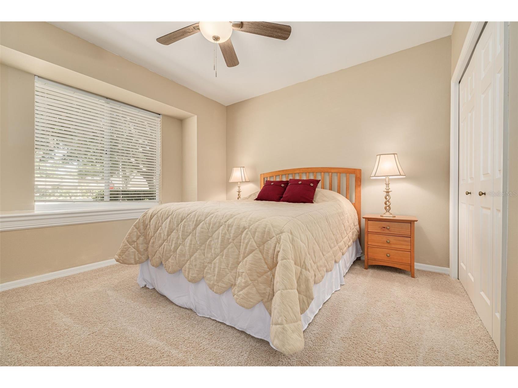 3652 Justin Drive Palm Harbor FL 34685 TB8498886 image38