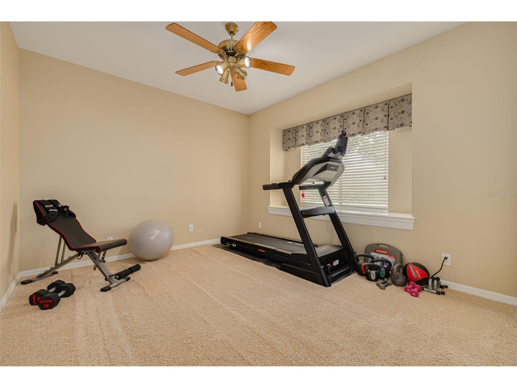 3652 Justin Drive Palm Harbor FL 34685 TB8498886 image41