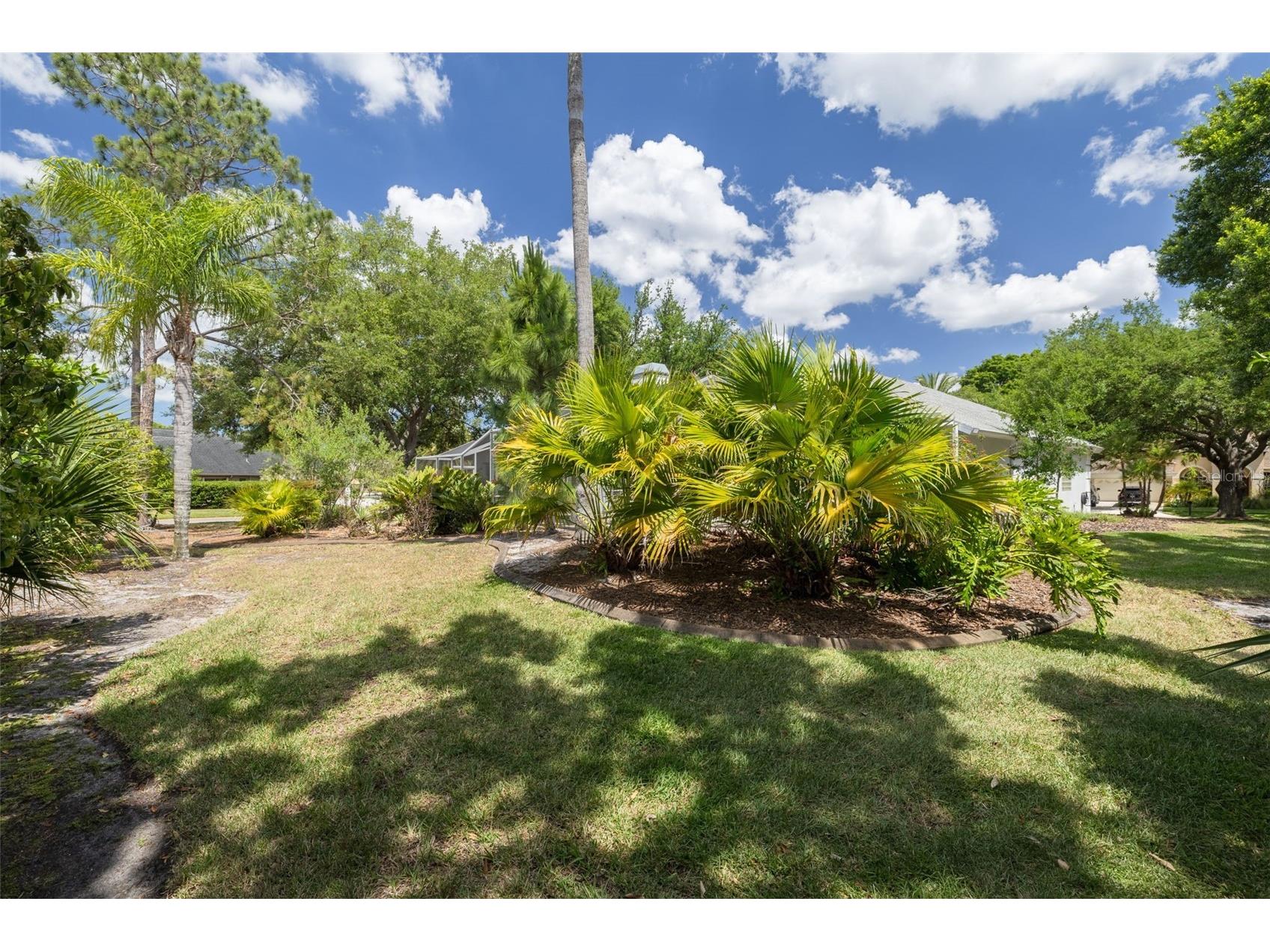 3652 Justin Drive Palm Harbor FL 34685 TB8498886 image45