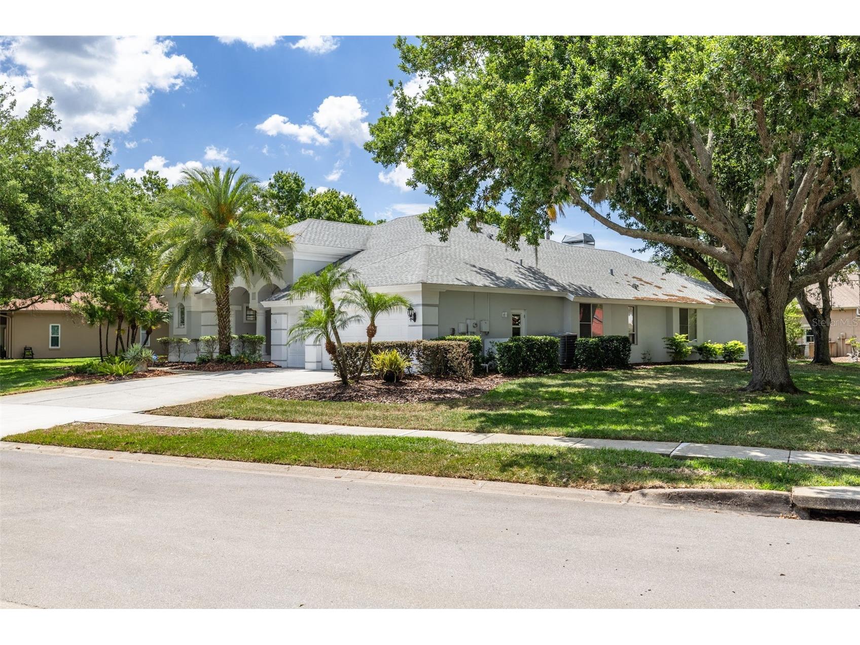 3652 Justin Drive Palm Harbor FL 34685 TB8498886 image48