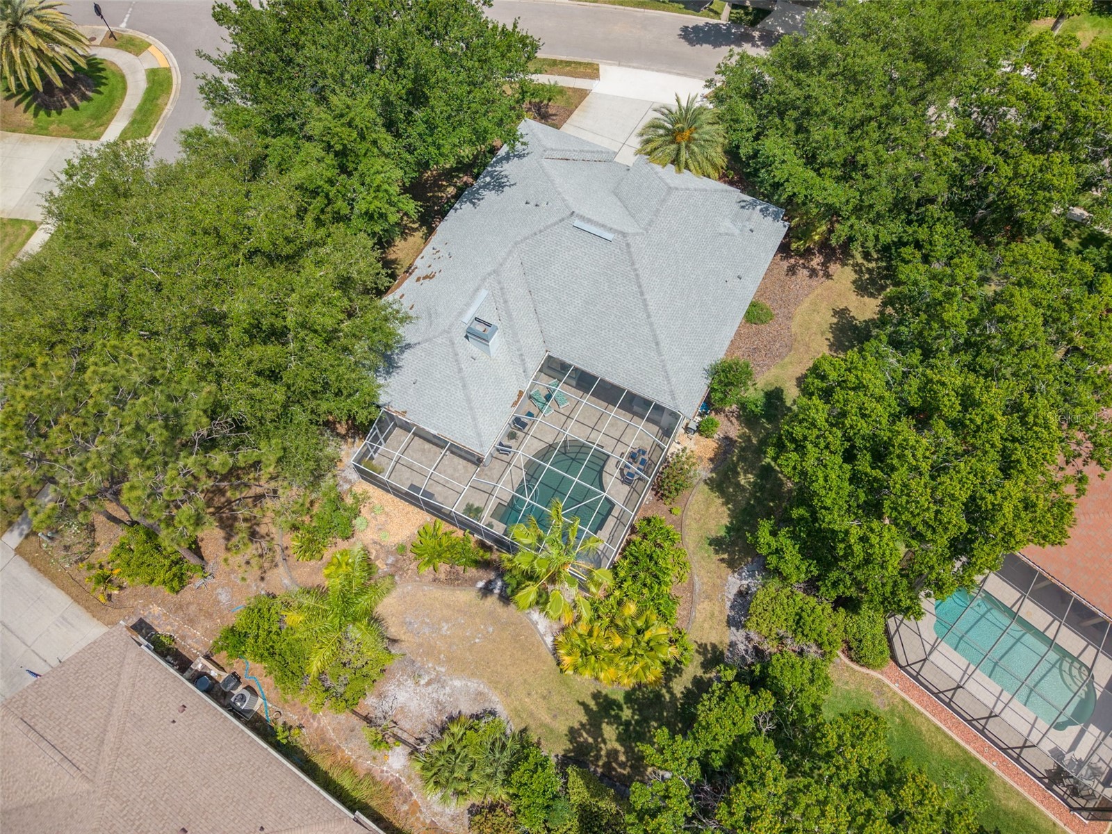 3652 Justin Drive Palm Harbor FL 34685 TB8498886 image49