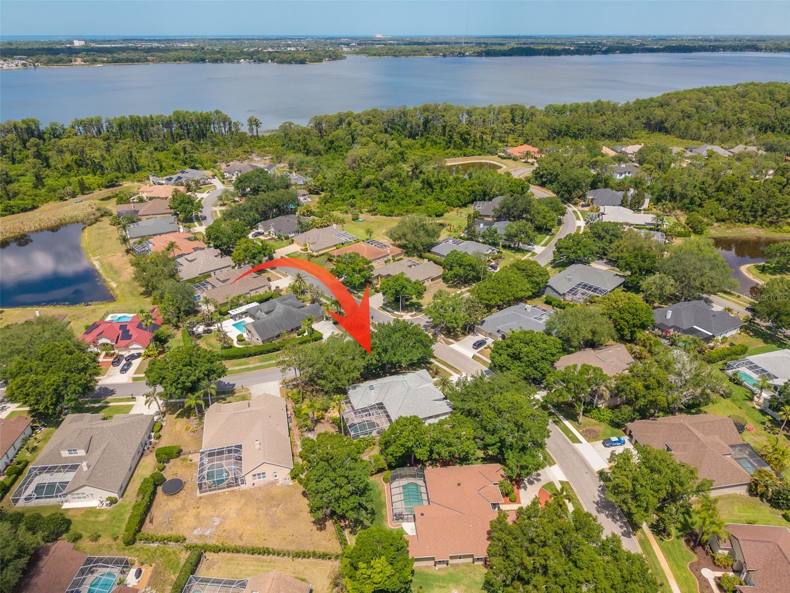 3652 Justin Drive Palm Harbor FL 34685 TB8498886 image50