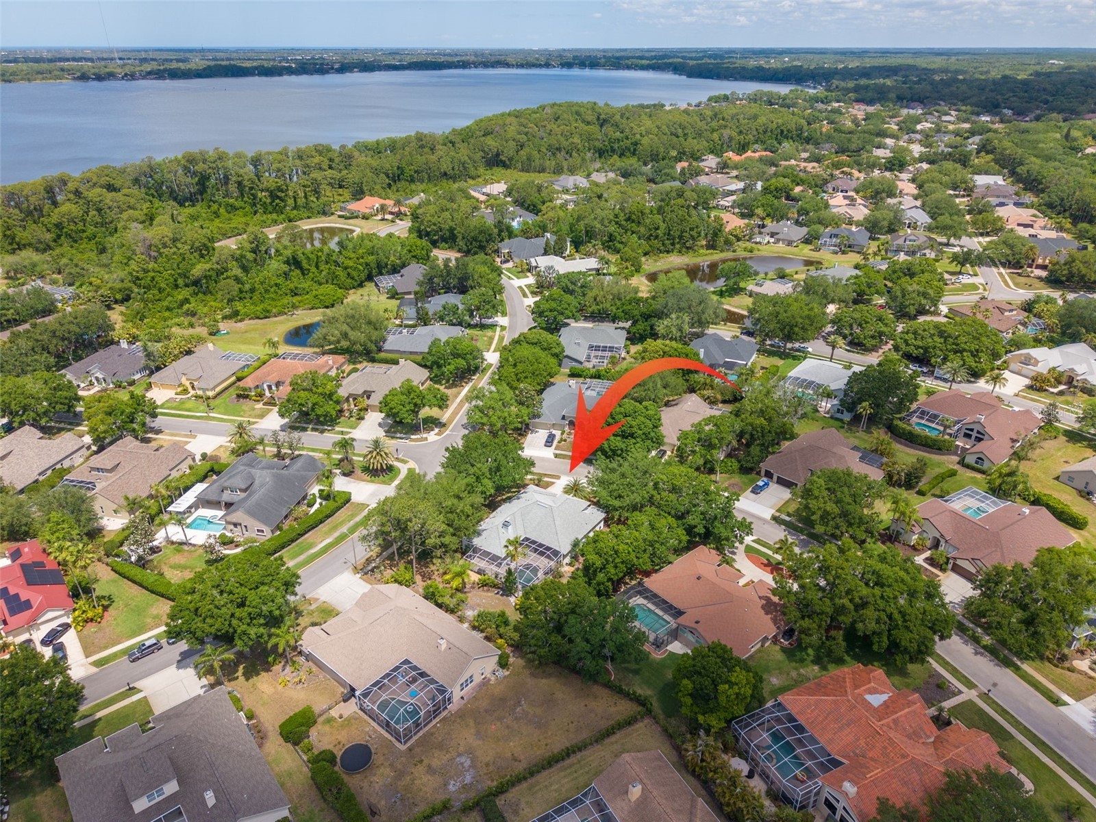 3652 Justin Drive Palm Harbor FL 34685 TB8498886 image51
