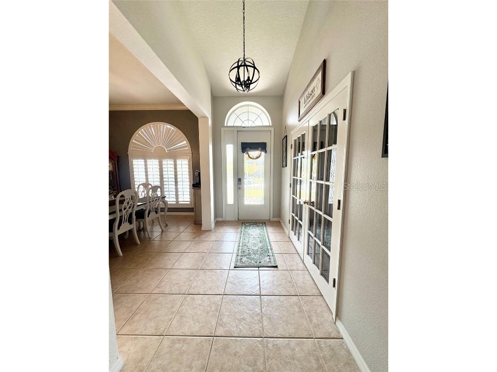 3652 Rochelle Lane Apopka FL 32712 O6346236 image11