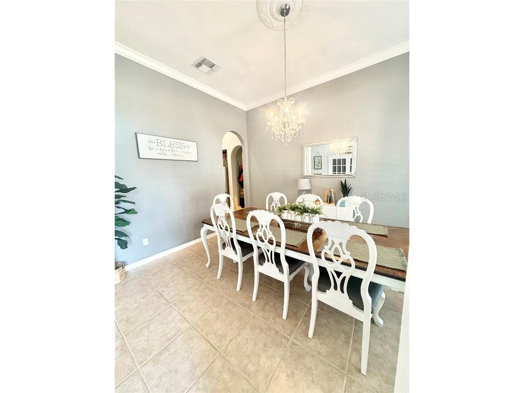 3652 Rochelle Lane Apopka FL 32712 O6346236 image12