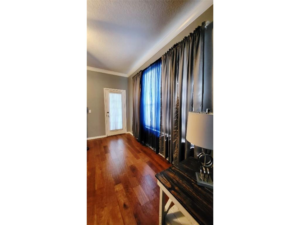 3652 Rochelle Lane Apopka FL 32712 O6346236 image21