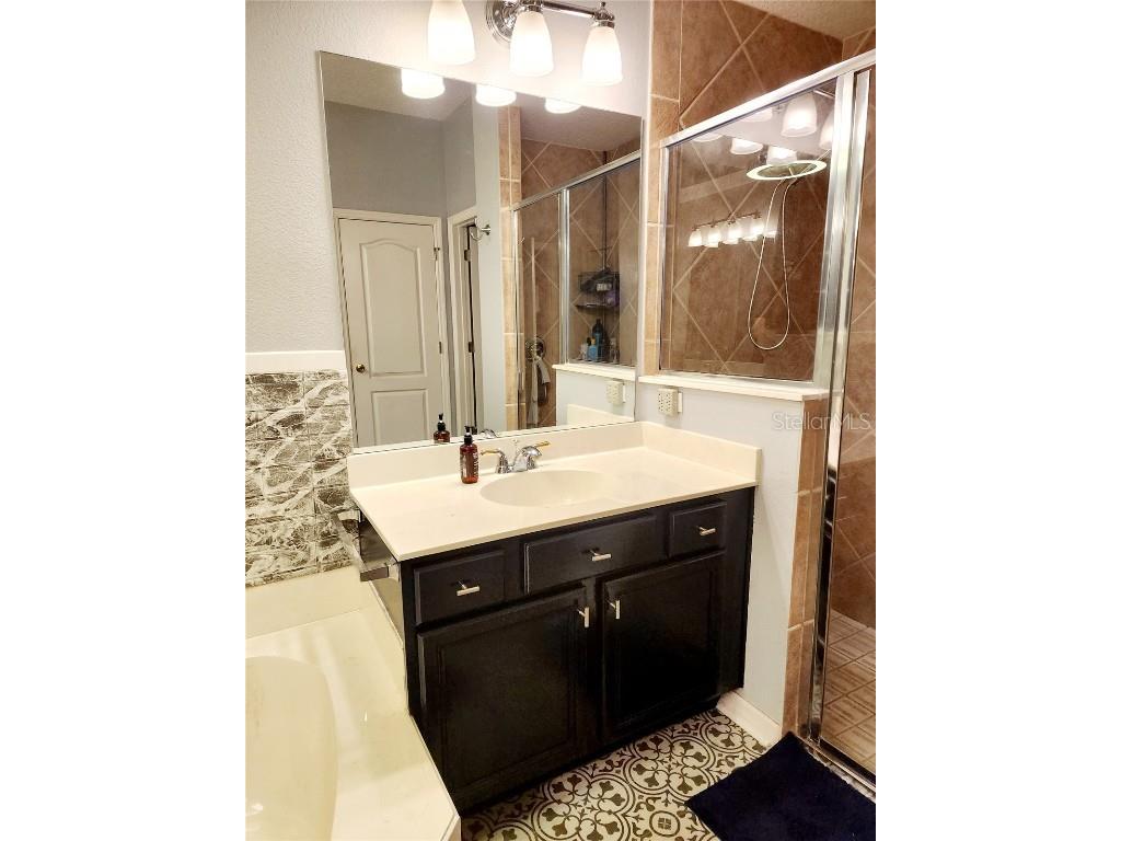 3652 Rochelle Lane Apopka FL 32712 O6346236 image25