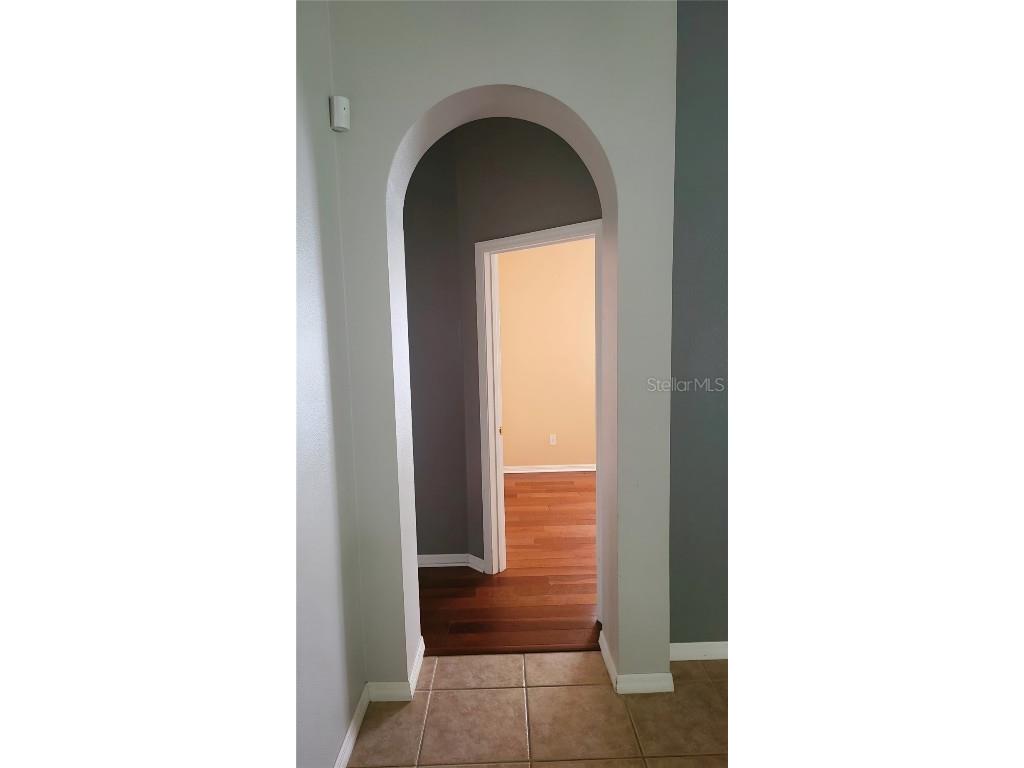 3652 Rochelle Lane Apopka FL 32712 O6346236 image34