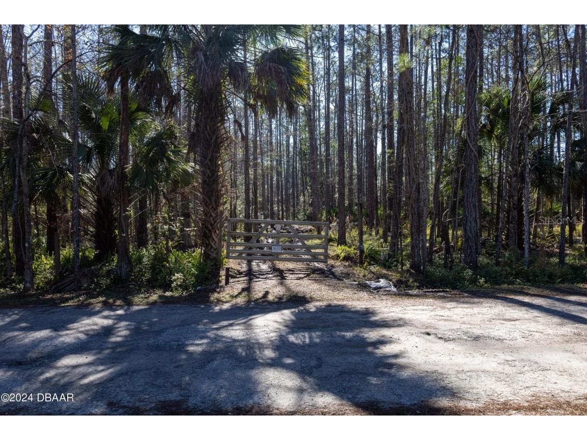 3653 Conifer Lane Ormond Beach FL 32174 V4943708 image10