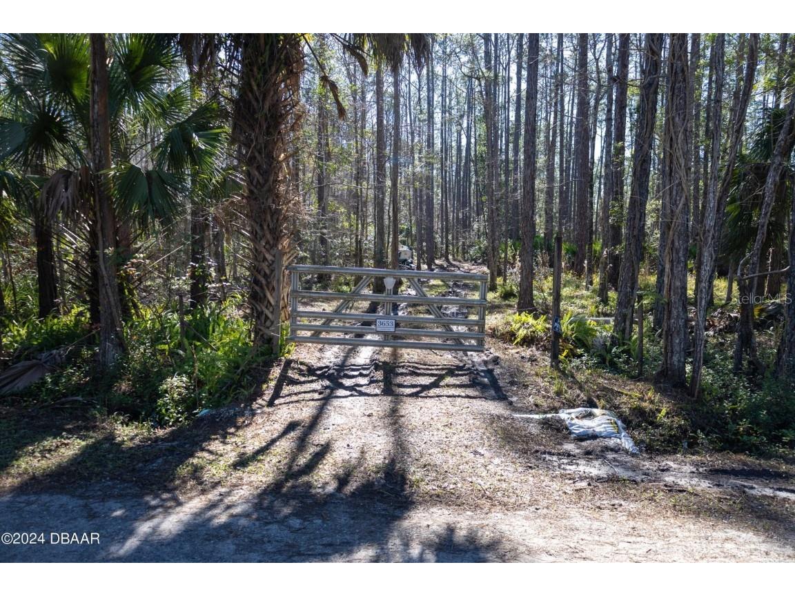 3653 Conifer Lane Ormond Beach FL 32174 V4943708 image7