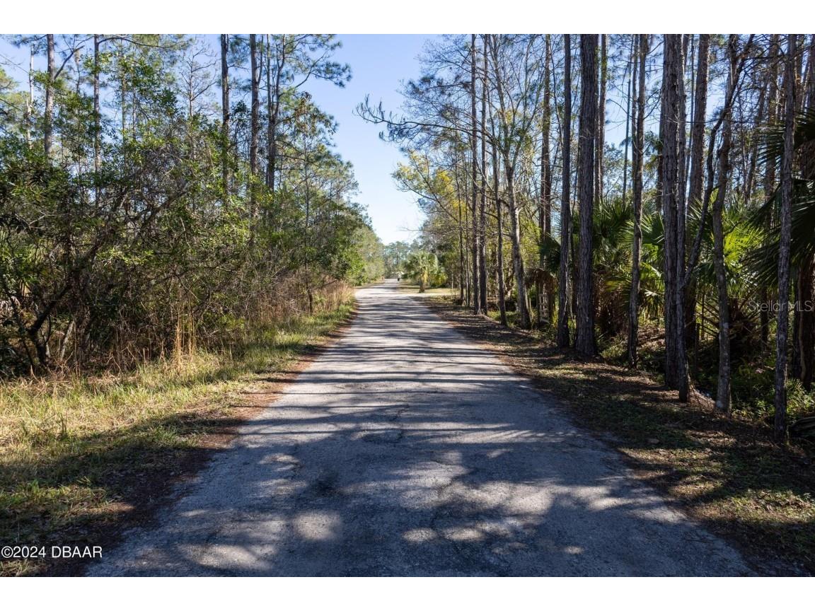 3653 Conifer Lane Ormond Beach FL 32174 V4943708 image8